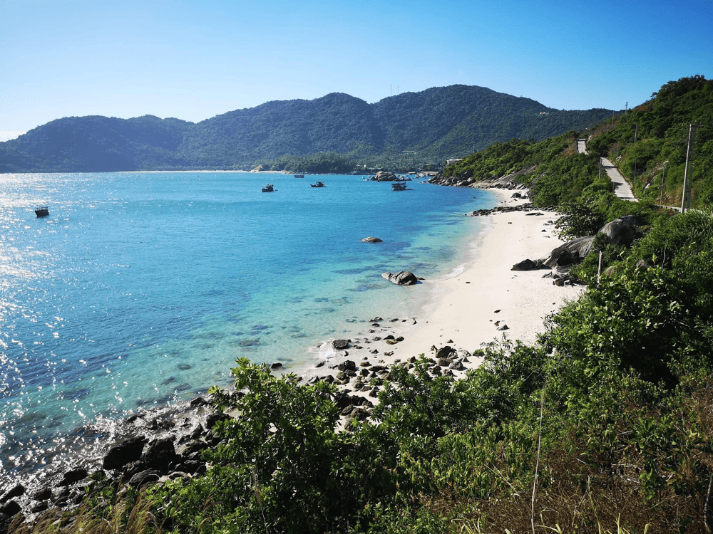 Bai Xep Beach stands out with its unique coral ecosystem and privacy, making it a paradise for underwater explorers (Source: Fanpage Cù Lao Chàm - Chàm Island)